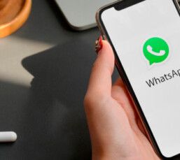 Qual a importância de adotar o WhatsApp Business no seu negócio?